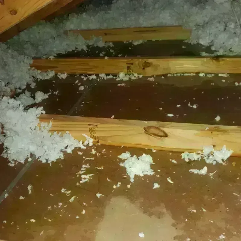 Attic Water Damage in Norton, KS