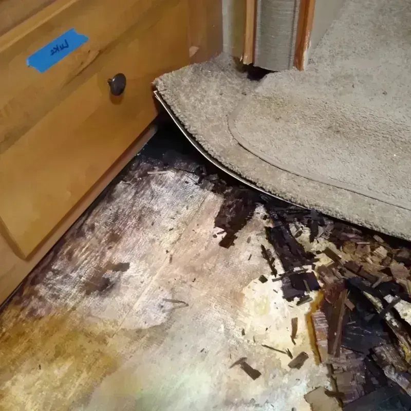 Best Wood Floor Water Damage Service in Norton, KS